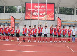 2026世界杯观赛指南：美加墨三国精彩赛事提前揭秘